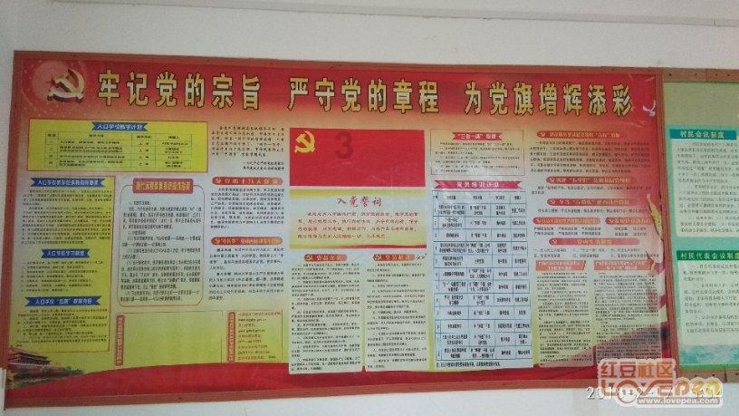 好家伙!杨紫《要久久爱》首播差评一片,观众差评理由出奇一致