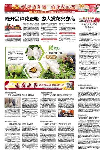 植物大战僵尸1