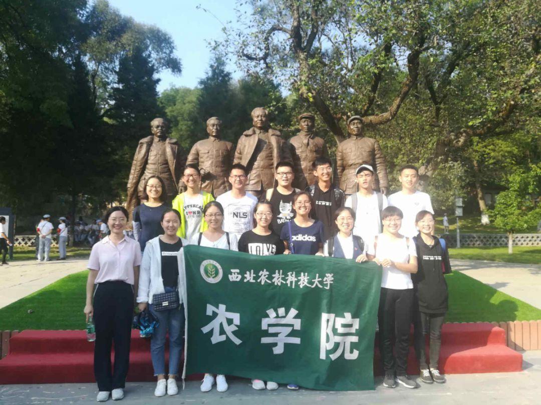 小猫钓鱼开船版最新版下载