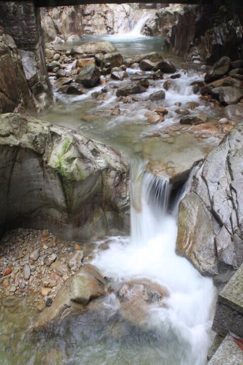 虫虫助手下载