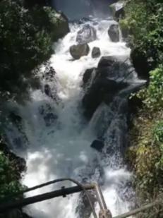 盗贼之海