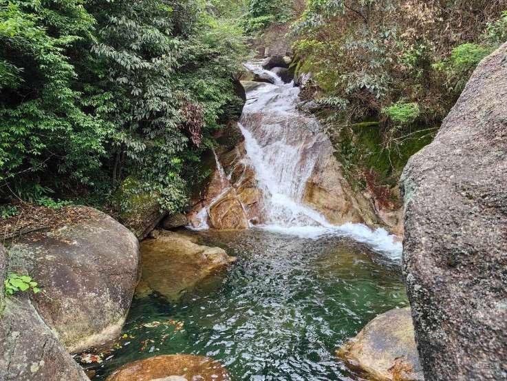 马步芳:雇用9架飞机逃离大陆,晚年甘当糊涂“大使”