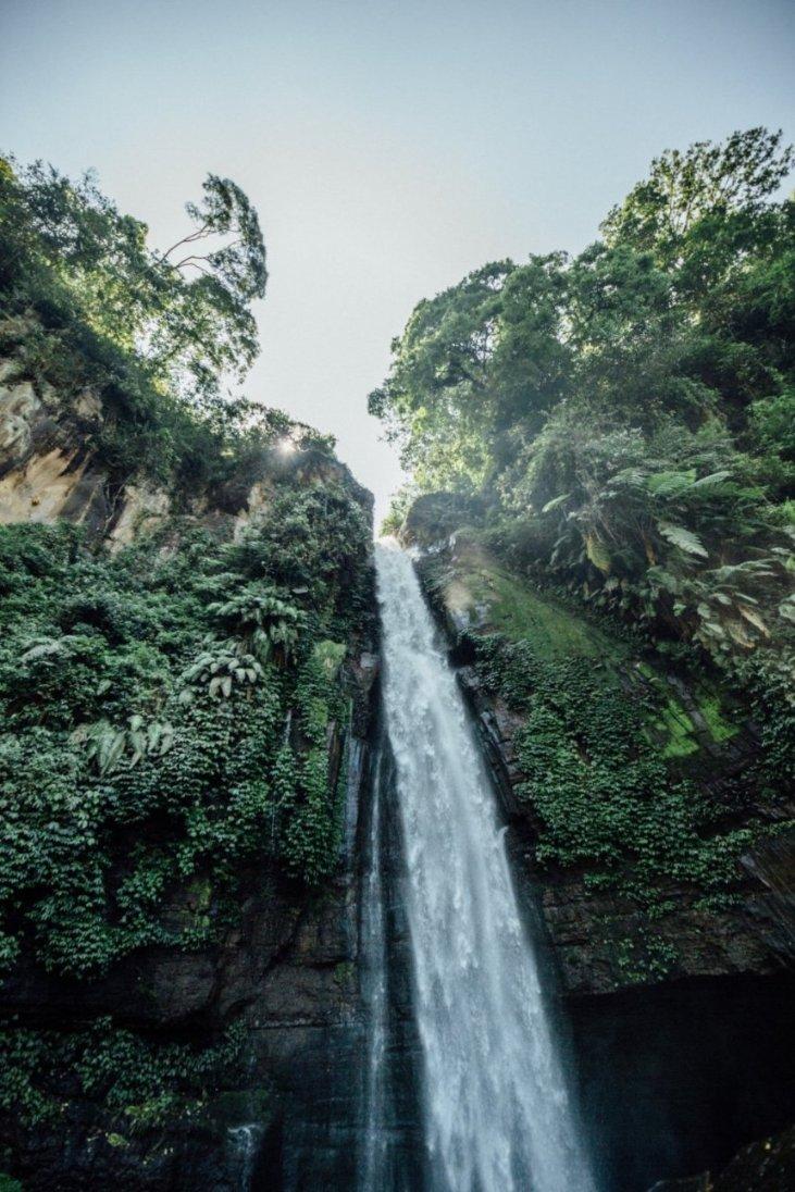 逃离粉红岛