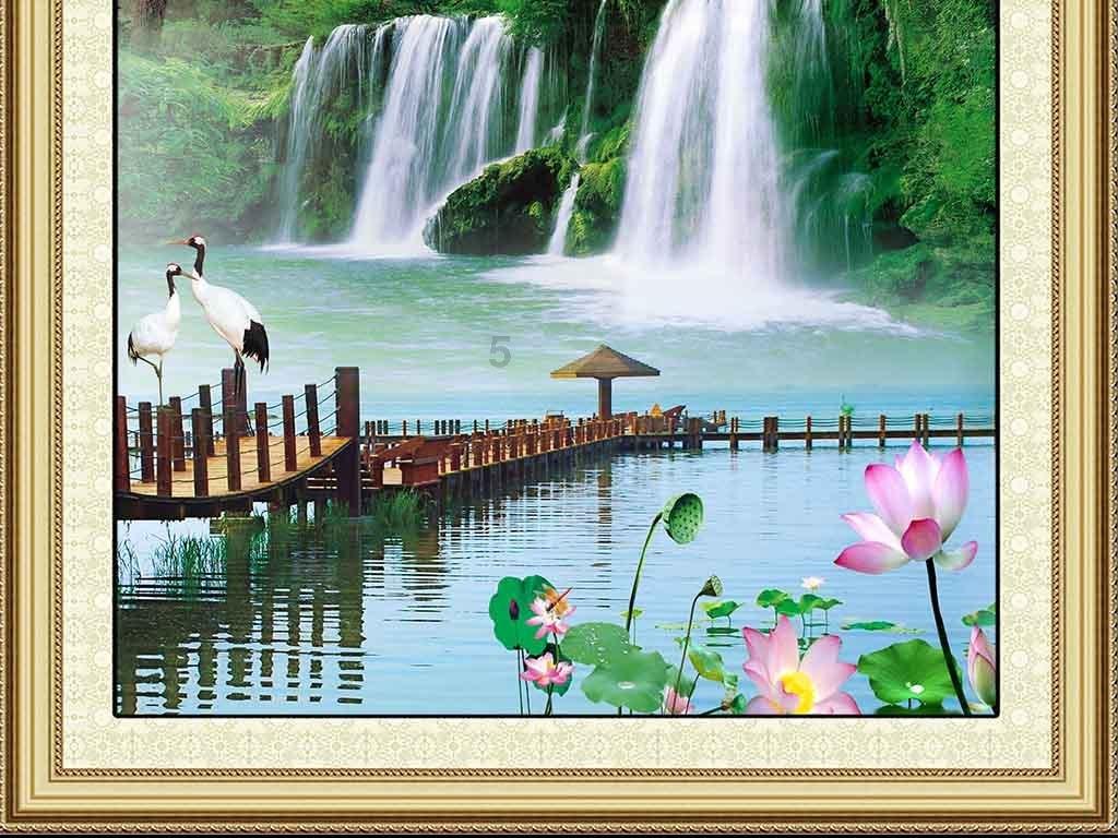 春雨直播app