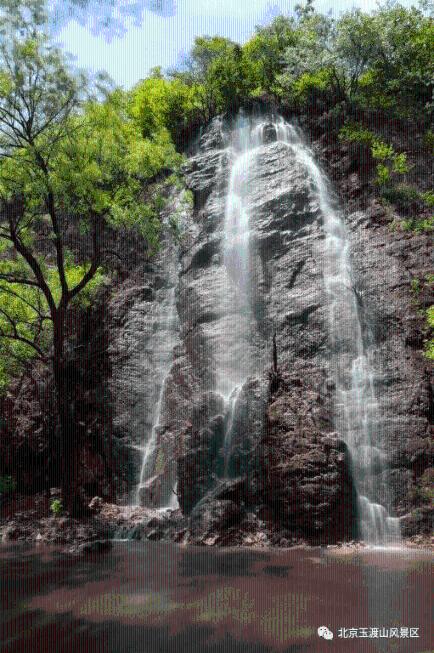 关于钟南山院士发出的“双节”提醒，你有何看法？游戏画面