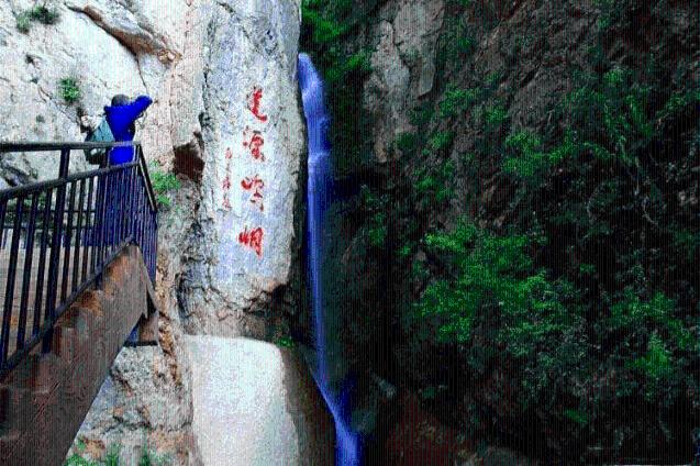 动物帮帮忙保卫家园