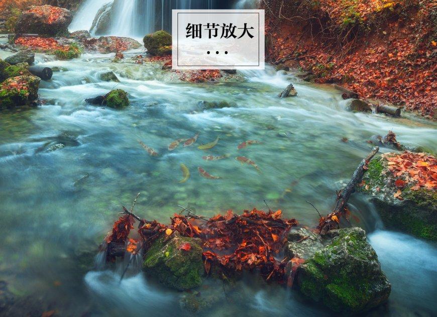 你也敢喷杜兰特?场均8分,搭档东欧三分仅36.4%,他沾了绿军的光