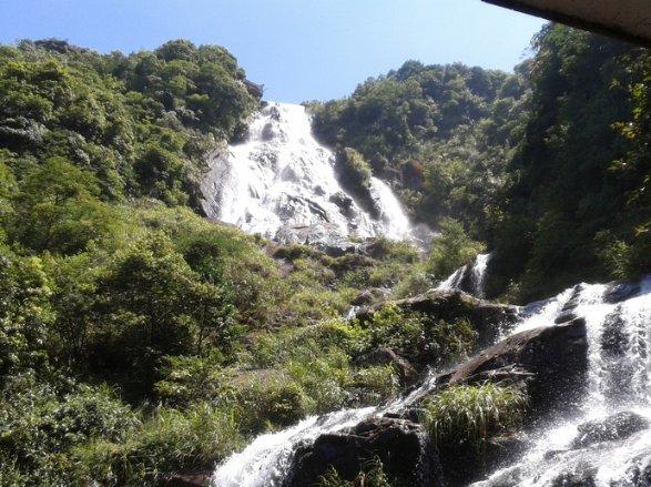 @砂糖橘、野生菌、洋芋王子公主们……成都冰雪世界也好耍得很！