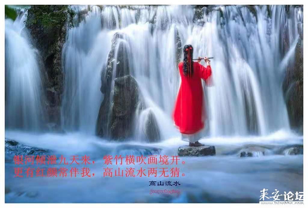 88影视