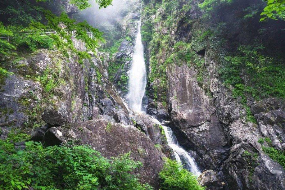 春雨直播app