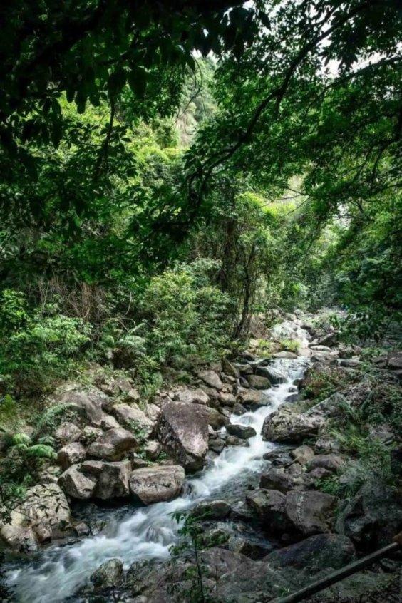 全民烧脑3去广告版