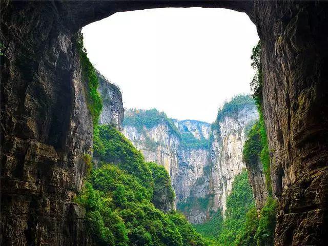 热带天堂找不同