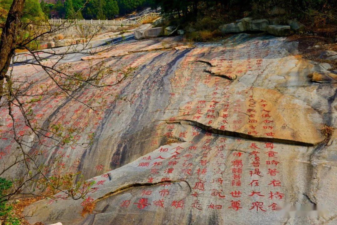 解疑答惑,全能电视剧王的女人都有哪些不错的演员?平台