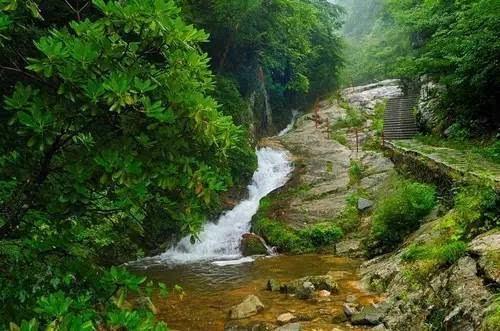 虫虫助手下载