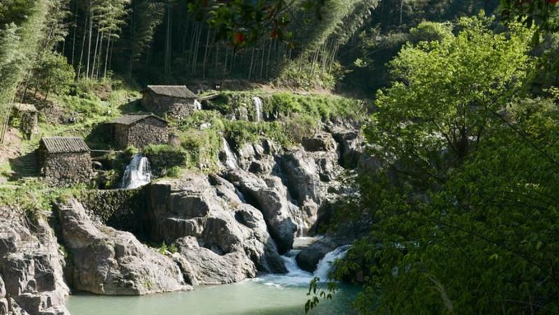 知名连锁餐厅“牛New寿喜烧”吃出虫子,还不止一条……