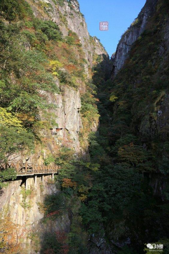 吼巷千层破酥包 让人们的生活更加丰富多彩
