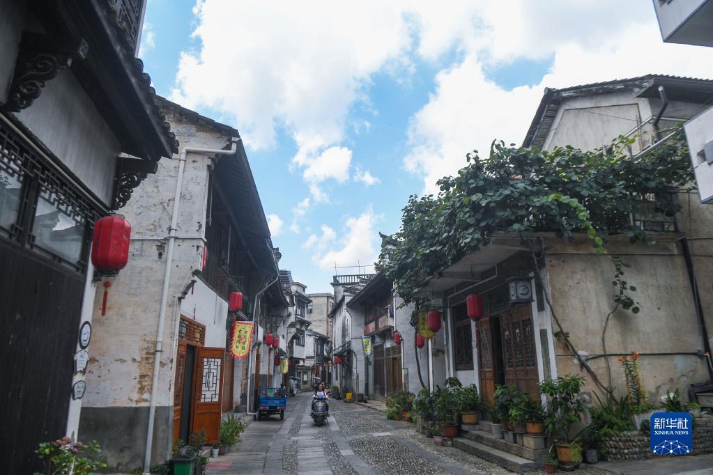 虫虫助手下载