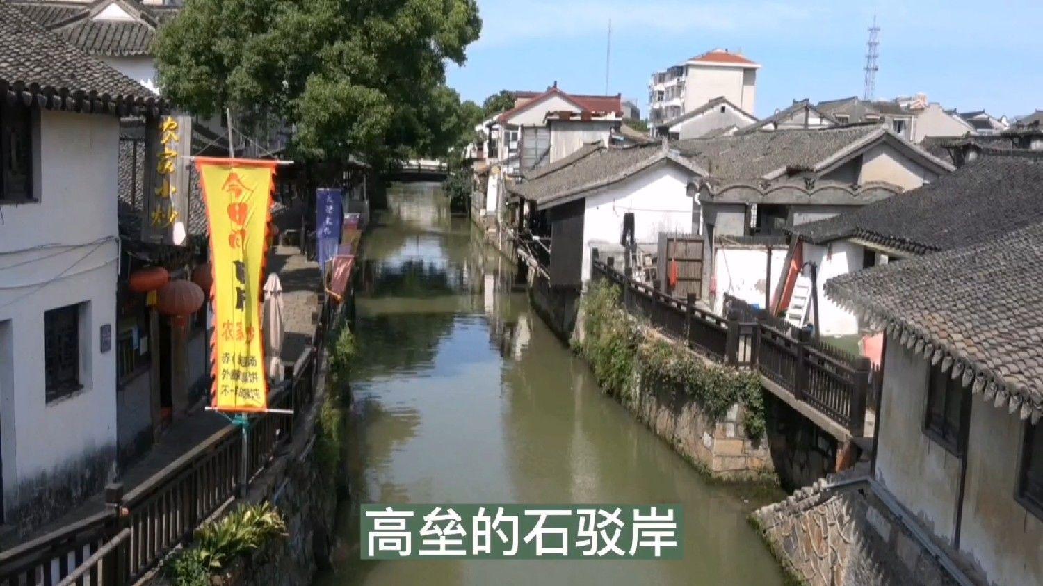 吞噬星空：罗峰打响宇宙第一战！恒星九阶混战抢人，普拉追杀罗峰