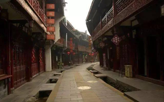 救援鹦鹉