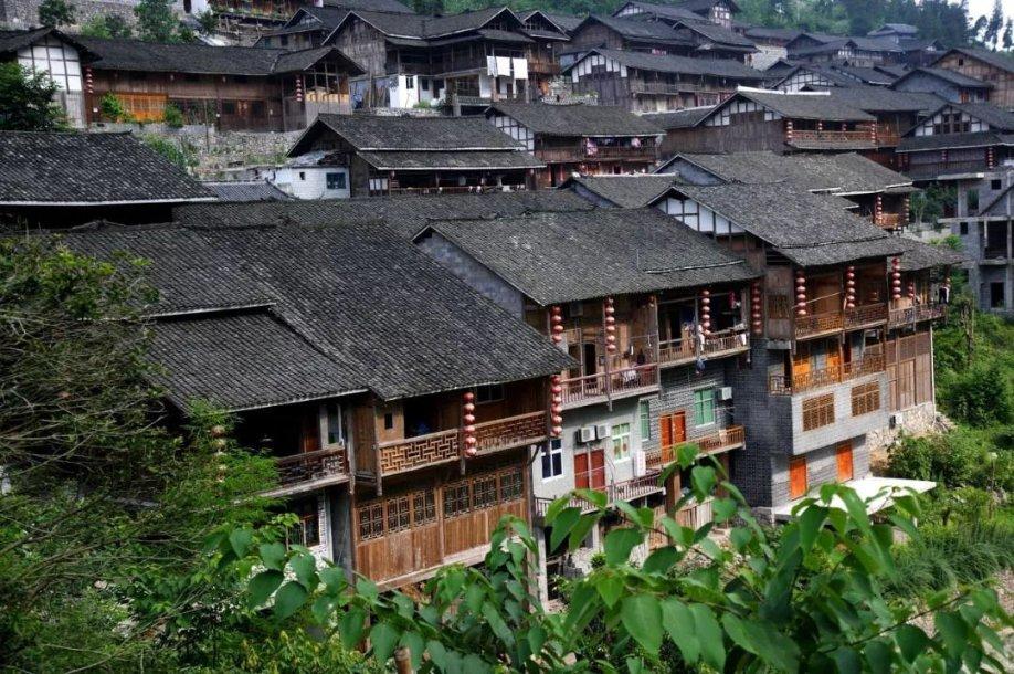 危险的社会