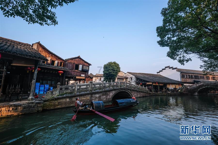 虫虫助手下载