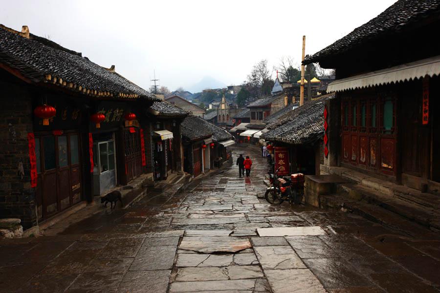 动物帮帮忙保卫家园