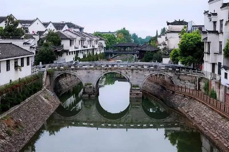 逃离神秘老林