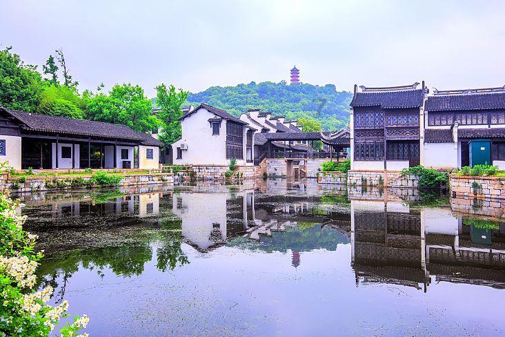 动物帮帮忙保卫家园