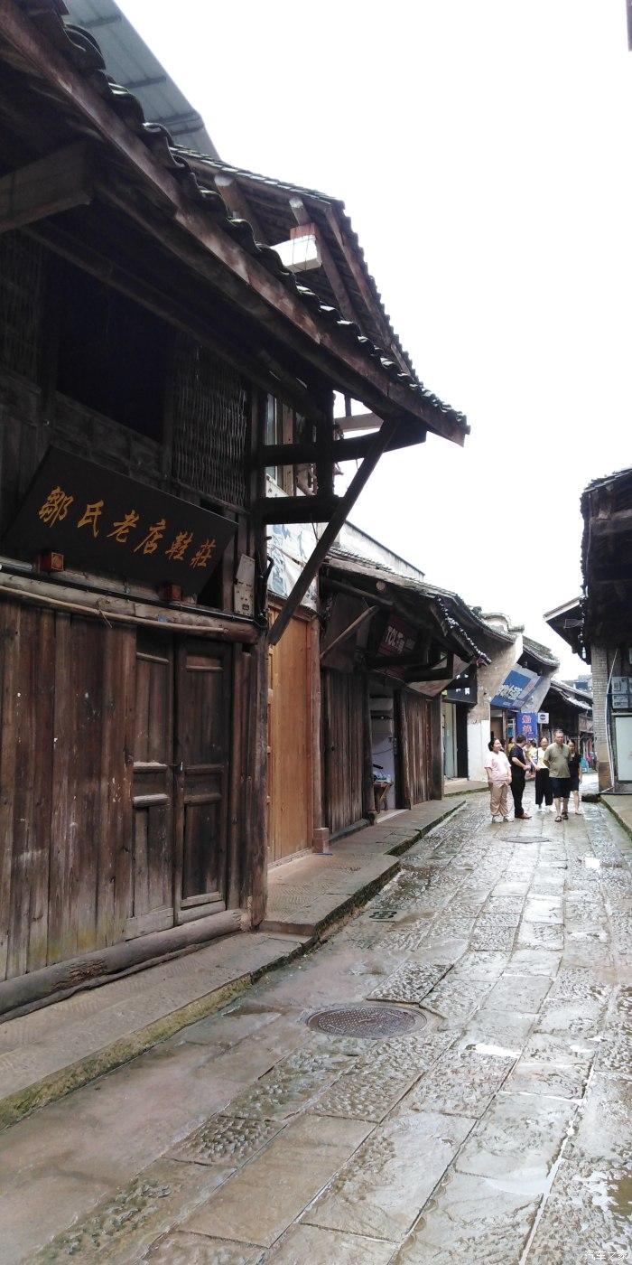 动物帮帮忙保卫家园
