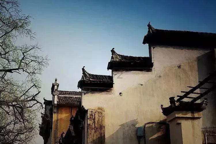 妙鸭相机app下载官网