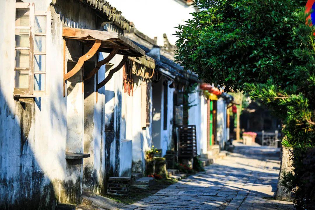 巨魔与勇士