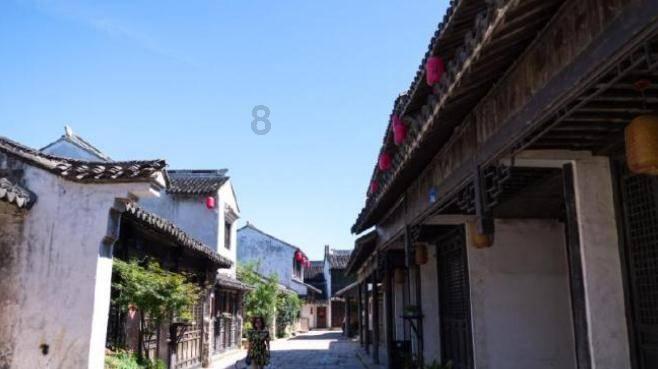 动物帮帮忙保卫家园