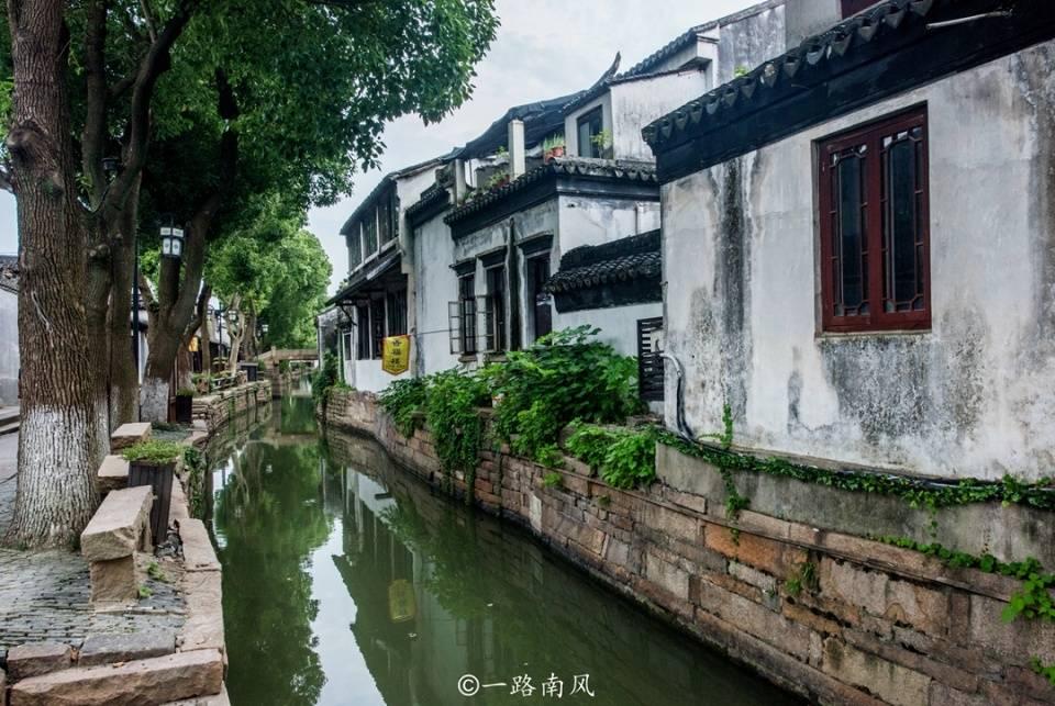 什么狗比较好训练？推荐5类乖巧可爱的狗
