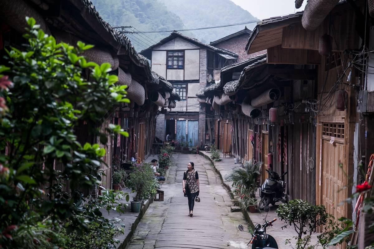 月光影视