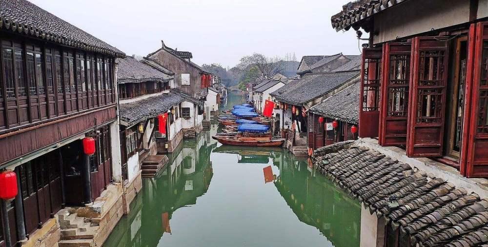 这只拉布拉多纯吗游戏画面