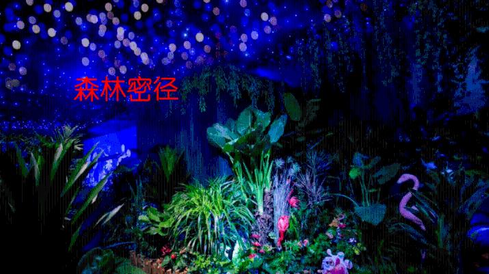 创作猫