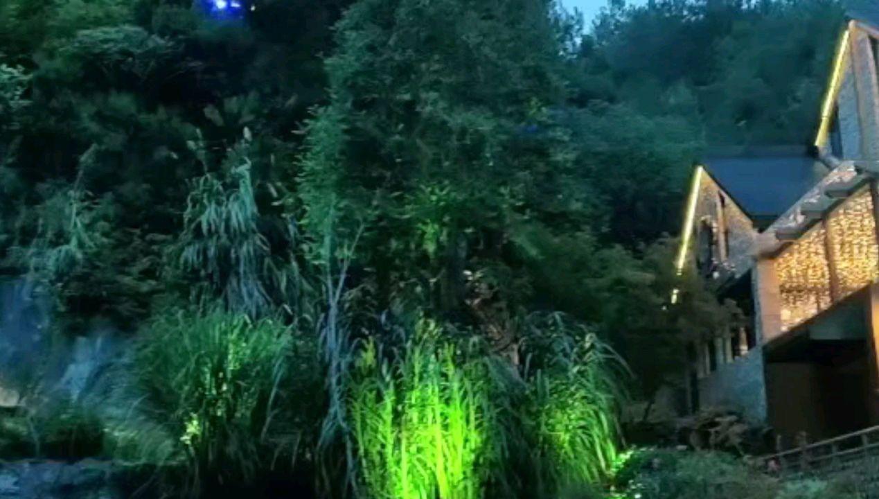 燃烧吧大脑免广告最新版